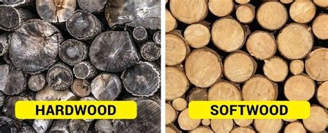 hardwood vs softwood 15 advantages and disadvantages