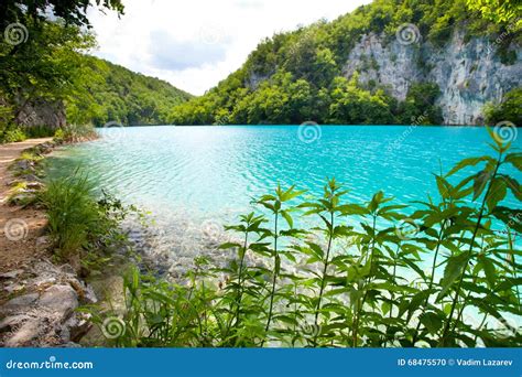 mountain lake stock foto image  installatie idyllisch