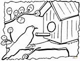 Colorare Uccelli Casetta Vogelhaus Disegni Ausmalbild Birdhouse Coloring Kleurplaat Vogelhuisje Casette Domek Vogelhuis Feeder Vögel Ausdrucken sketch template