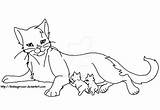 Kits Queen Line Cat Warrior Deviantart Cats Reff Explore Realistic Version sketch template