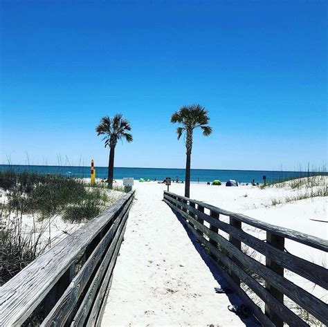 gulf shores public beach   saber antes de ir lo mas