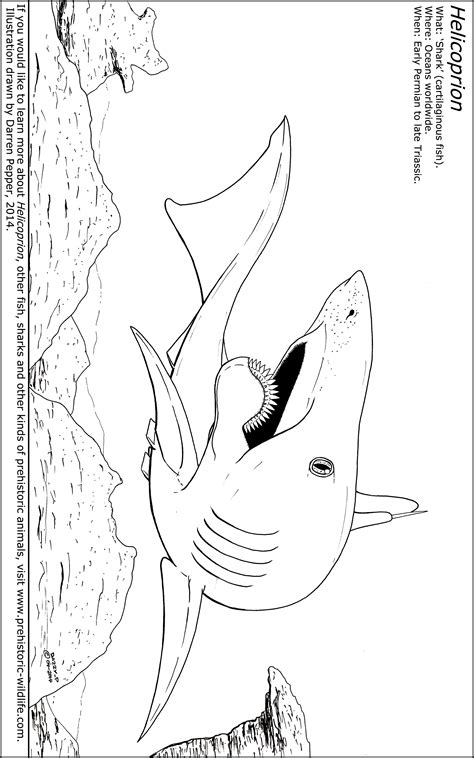 prehistoric sharks coloring coloring pages
