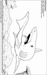 Prehistoric Sharks Helicoprion sketch template