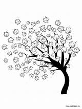 Maple Coloring Pages Tree Printable Trees Recommended sketch template