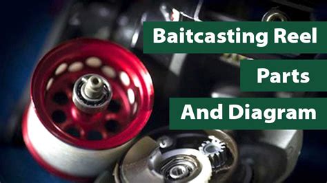 baitcasting reel parts   diagram explained  beginners