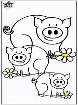 Schweine Cochons Pigs Lions Maiali Ferme Varkens Coloriages Publicité Pubblicità Xcolorings Boerderijdieren Bauernhoftiere Advertentie Anzeige sketch template