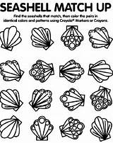 Coloring Seashell Pages Shell Sea Match Shells Crayola Seashells Matching Spring Print Color Au Find Gemerkt Von Book sketch template