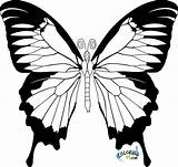 Butterfly Coloring Pages Kids Butterflies Color Realistic Printable Blank Pattern Adults Book Getdrawings Easy Print Getcolorings Ad Place sketch template