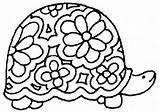 Turtle Coloring Pages Detailed Getdrawings Cute sketch template