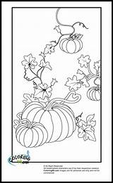 Coloring Pages Pumpkin Ministerofbeans sketch template