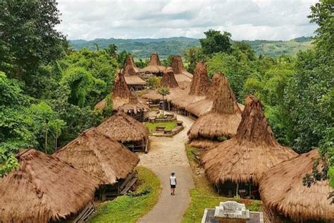 kampung adat sumba menawan alam indonesia