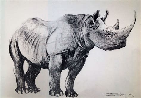 black rhino rhino art rhino illustration rhino tattoo
