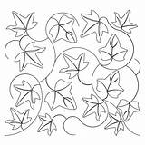 Leaves Ivy Drawing Leaf Getdrawings sketch template