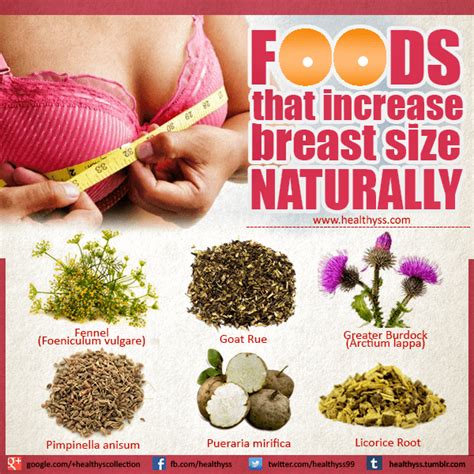 Food To Increase Breast Size 5 Food To Help You Increase Breast Size