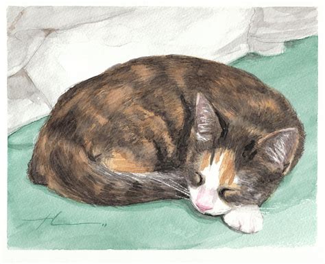 calico cat sleeping watercolor portrait drawing  mike theuer fine