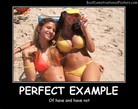 perfect example demotivational poster