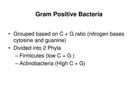 Ppt Gram Positive Bacteria Powerpoint Presentation Free