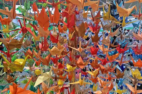 paper cranes project rotary club  holdfast bay