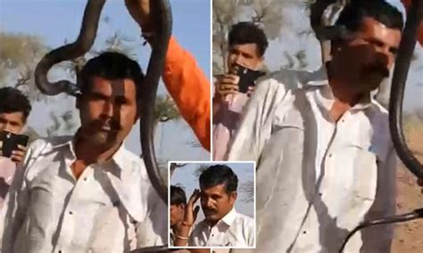Tourist In India Posing With A Cobra Gets Bitten And Dies