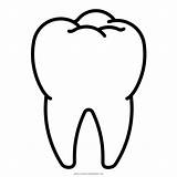 Zahn Ausmalbild Diente Dente Tooth Dientes Dentes Ultracoloringpages Dent Chew Kinderbilder sketch template