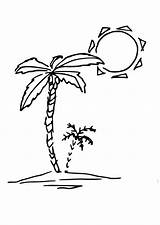 Palm Coloring Tree Pages Trees Edupics sketch template