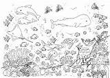 Ausmalbilder Unterwasser Malvorlagen Unterwasserwelt Wasser Ausmalen Malvorlage Kinder Tiere Fisch Meer Fische Meereswelt Tiefsee Mer Wimmelbild Meerjungfrau Tiefen Kostenlose sketch template