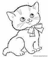 Gatos Pintar Lindos Kitten sketch template