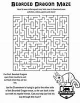 Maze Bearded Mazes Elementary Crittersquad sketch template