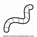 Worm Coloring Pages sketch template