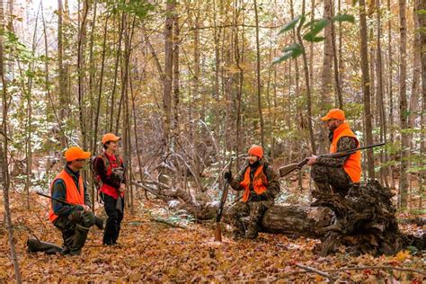 Hunters Urged To Wear Orange This Deer Hunting Season