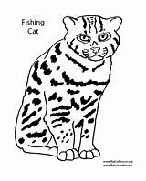 Coloring Cat Pages Fishing Tac Tic Getdrawings Toe 1000px 146kb sketch template