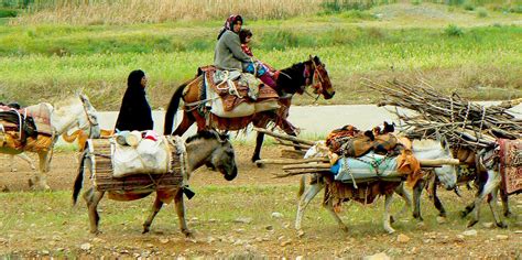 iran nomads  living   qashqai tribes surfiran