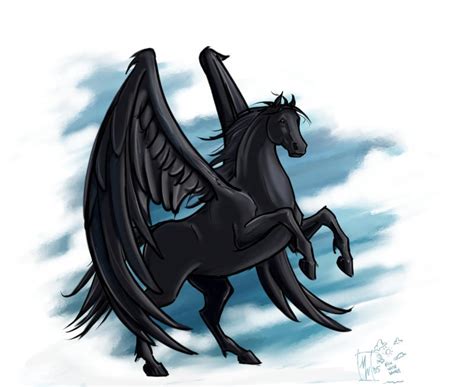 black pegasus   starhorse  deviantart
