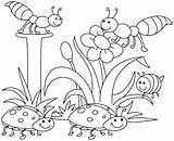 Coloring Bugs Pages Preschool Insects Printable Color Getcolorings sketch template