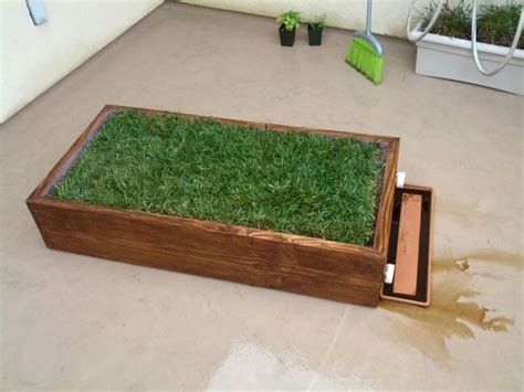 indoor grass box   dog house pinterest grasses dogs  boxes