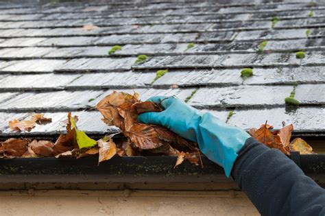 importance  gutter cleaning