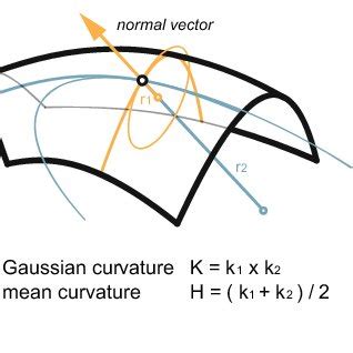 definitions  curvature left curvature   curve  measured