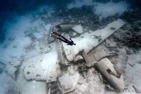 underwater plane wreck diving buceo pinterest planes love   underwater