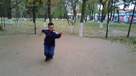 Kung Fu Tbx Xing Yi Yan Quan Swallow Form Youtube
