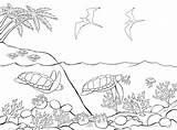 Marin Mer Wasser Coloriages Malvorlagen Küste Schildkröten sketch template