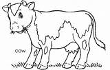 Grass Cow Eating Coloring Pages Farm Animal Cows Chewing Eat Lot Color Kids Kidsplaycolor sketch template