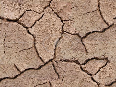 cracked dried mud texture seamless