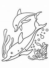 Delfini Colorare Disegni Pianetabambini sketch template