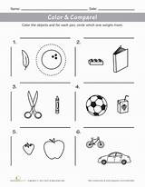 Worksheets Measurement Compare Weights Color Kindergarten Worksheet Objects Math Preschool Obejcts Maths Sizes Teaching Education School Activities Relative Choose Board sketch template