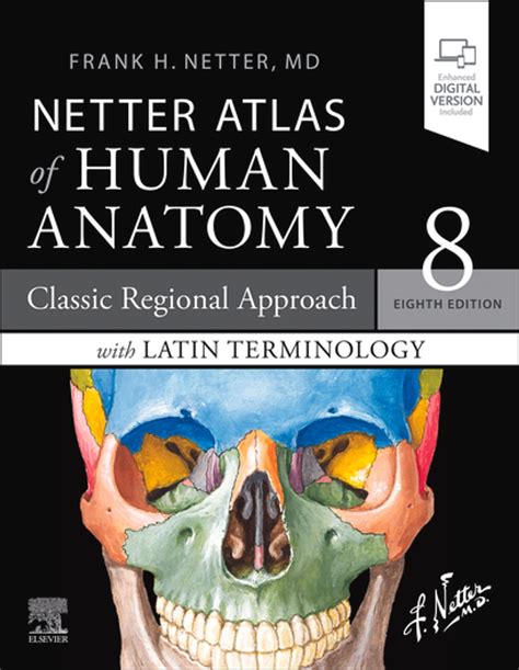 netter atlas  human anatomy classic regional approach  latin