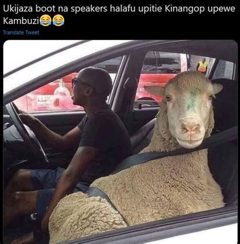 crazy funny pics memes going viral on kenyan social media