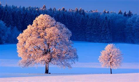winterwelten weisse pracht voller gegensaetze wundervolle impressionen