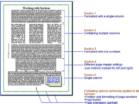 sections headers  footers  microsoft word  tutorial   intermediate users guide