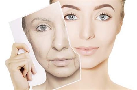 age management     skin    older evolve