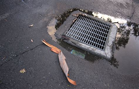 teen gets stuck in drain after trying to retrieve phone social news daily